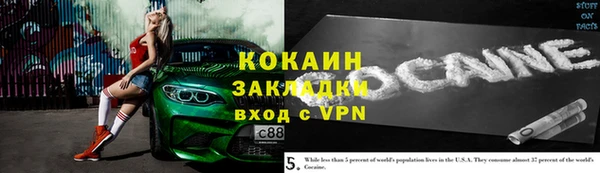 амф Алексин
