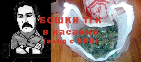 молекула духа Надым