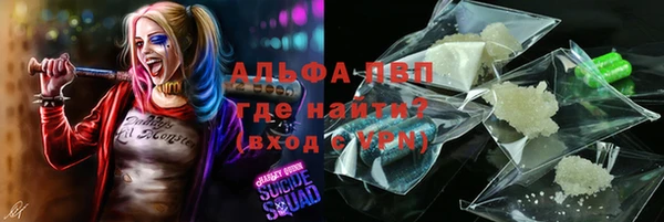амф Алексин